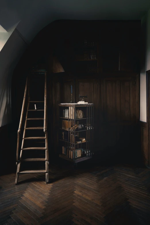 a loft with a loft bed and bookshelves