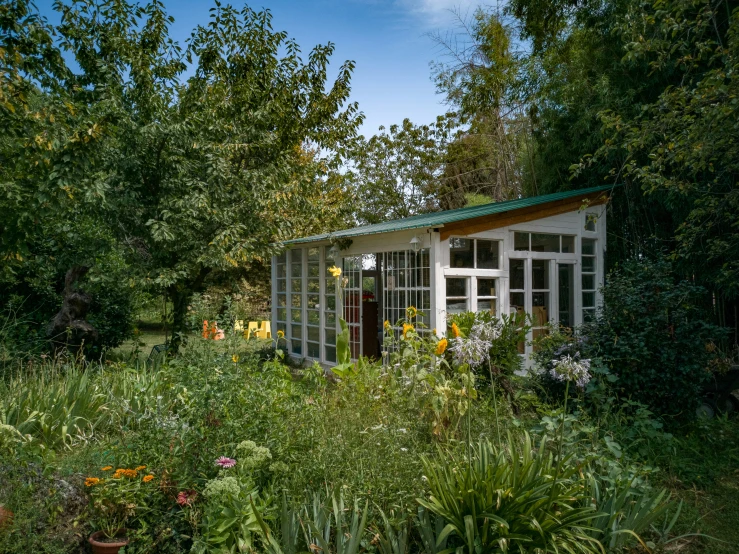 there is a small cabin sitting in the middle of the forest