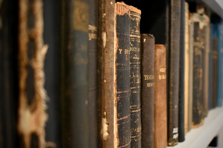 four books are sitting on a shelf lined with books