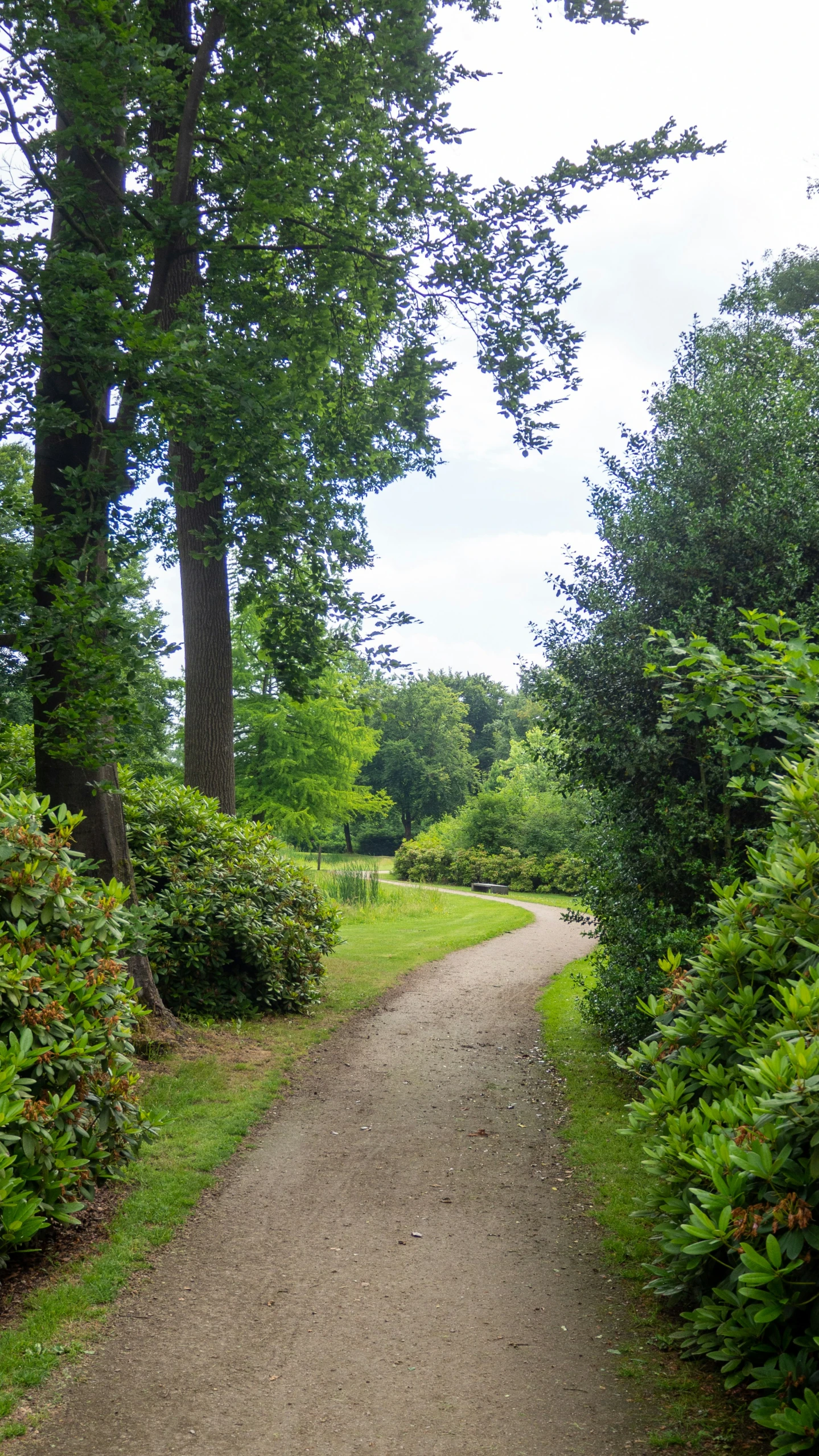 the dirt path leading into a green park