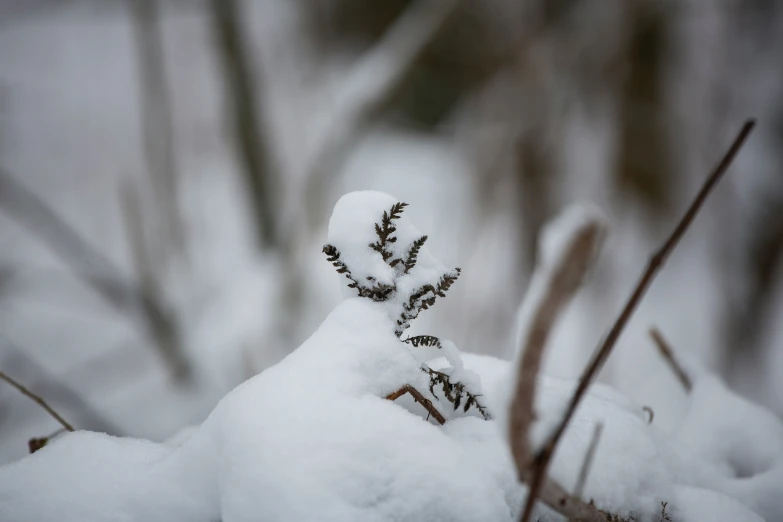 a tiny snowman standing on top of snow covered ground