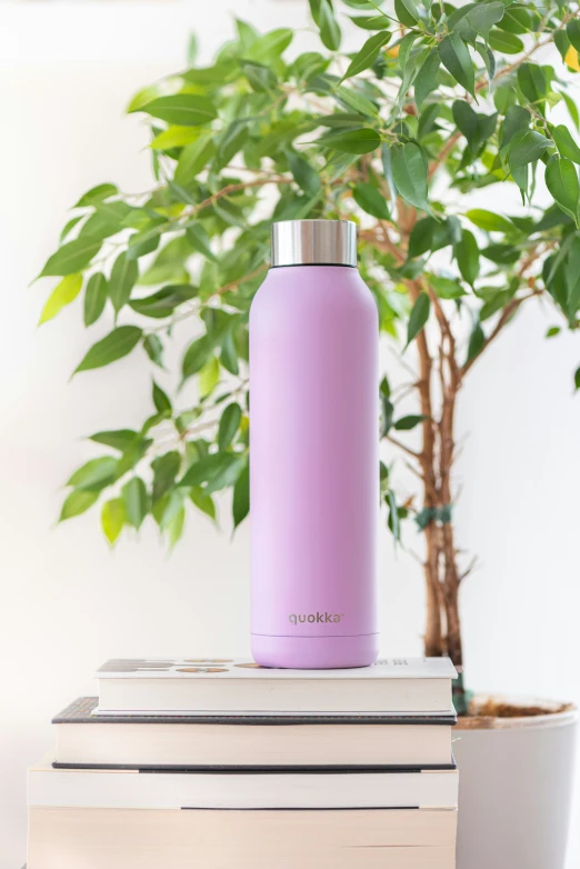 a purple water bottle sitting on top of two books next to a tree