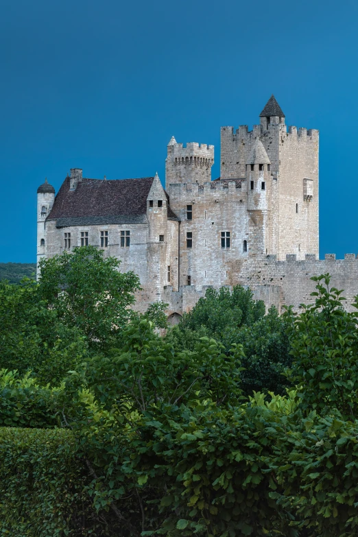 an old castle with trees near by