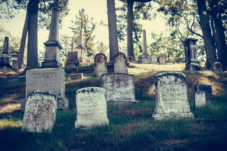 the headstones of several different types of headstones are located on grass in an antique graveyard