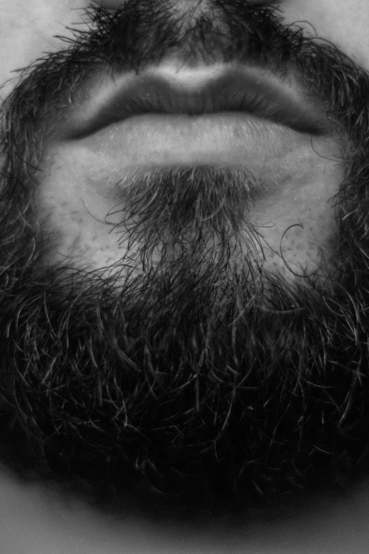 a black and white image of a bearded man with a thick beard