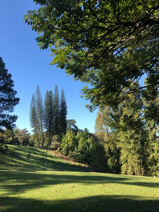 there is a large field with trees in the background