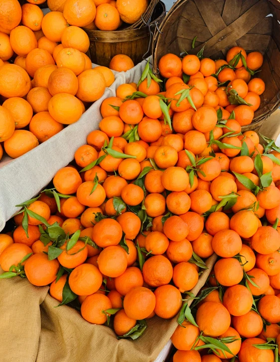 some buckets full of oranges sitting next to each other