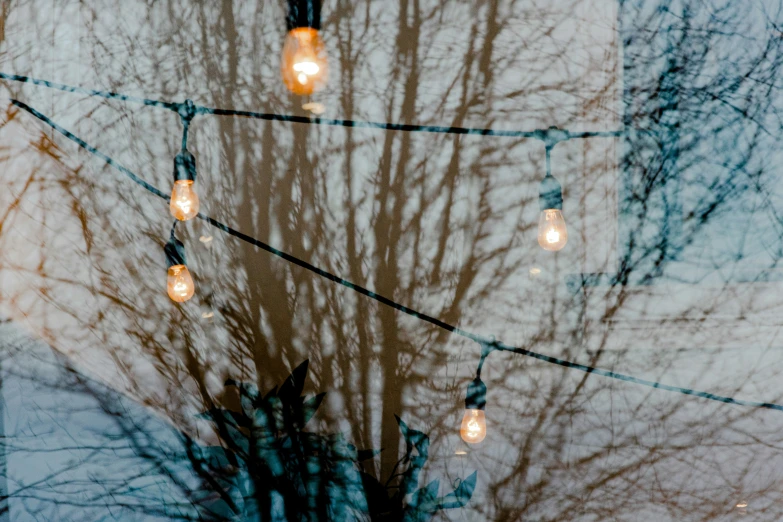 light bulbs are hanging from wires and trees