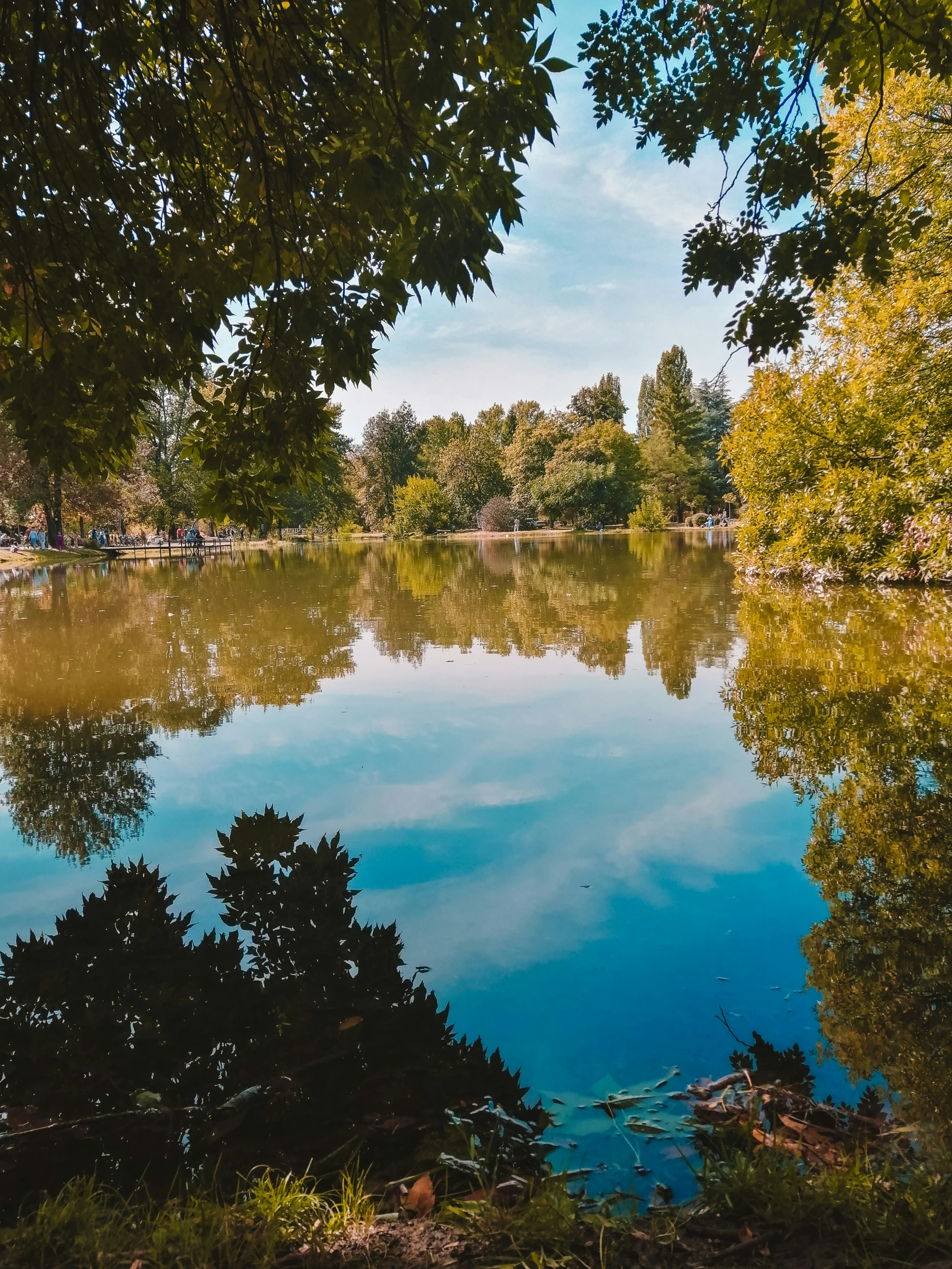 a lake with trees reflecting the sky in it