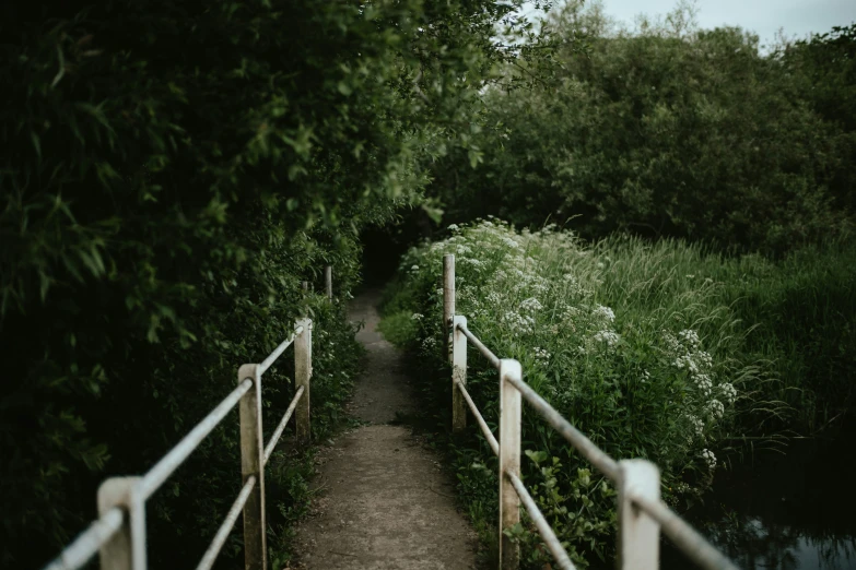 a bridge that goes over a small pond