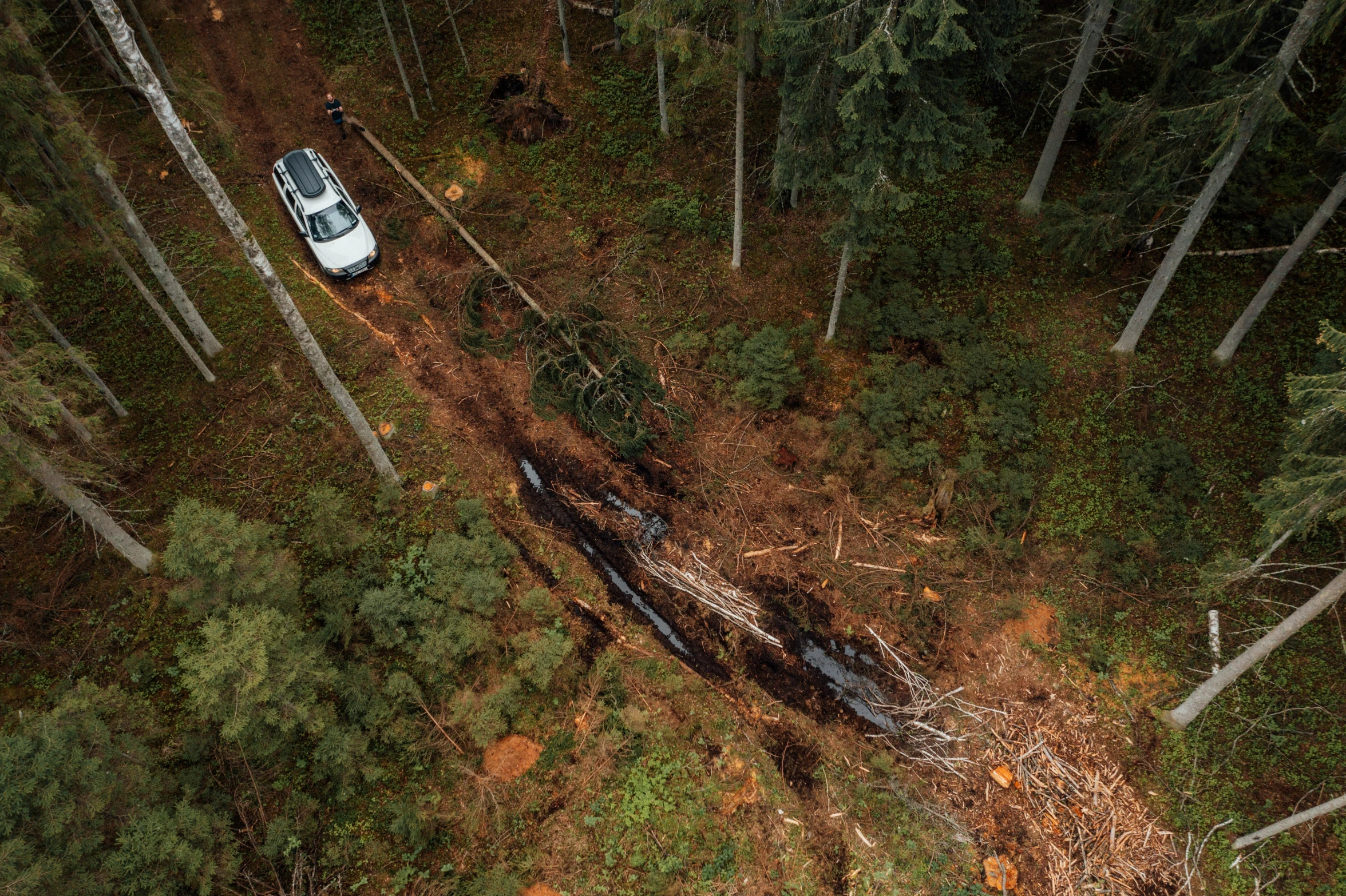 an aerial view of a car parked in the woods