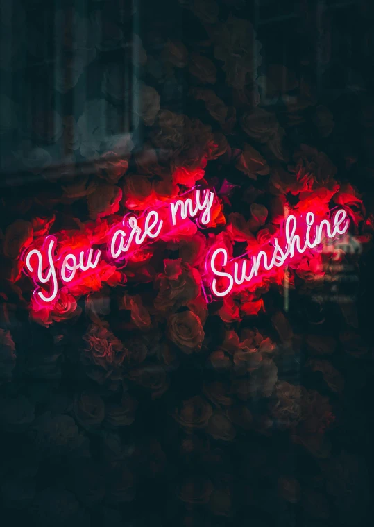 you are my sunshine written on a pink neon sign