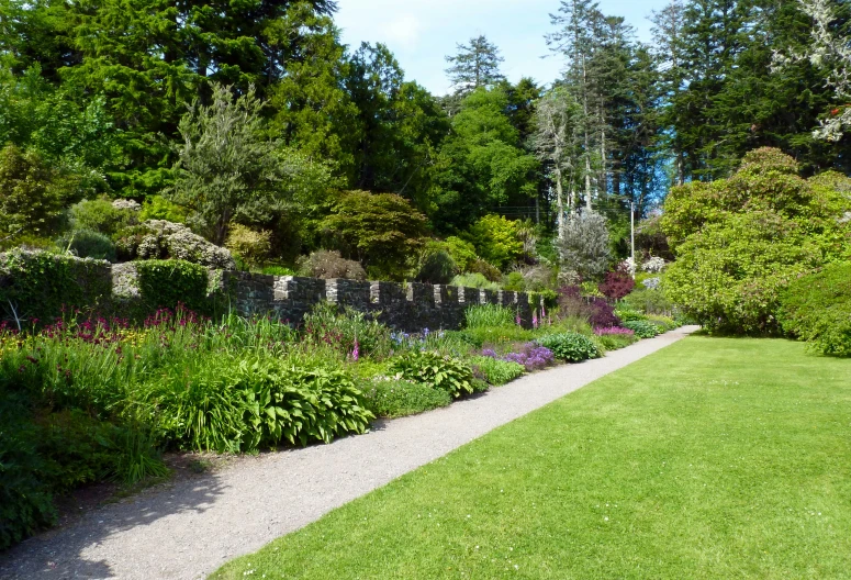 a long pathway through a grassy park filled with flowers and greenery