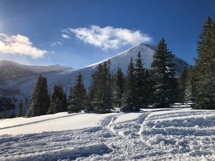 a snowy hill and trees are at the foot of a large mountain