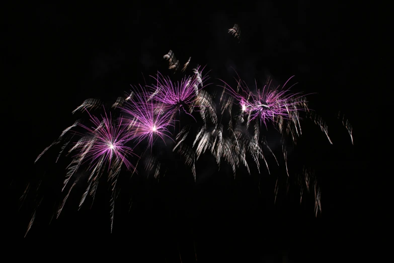 several large colorful fireworks in the night sky