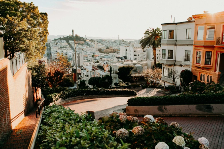 a view from the top of the hill in san francisco