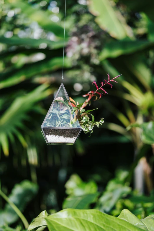 a close - up of a birdhouse hanging from the ceiling