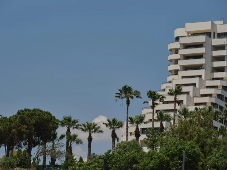 a very tall building with lots of palm trees near by