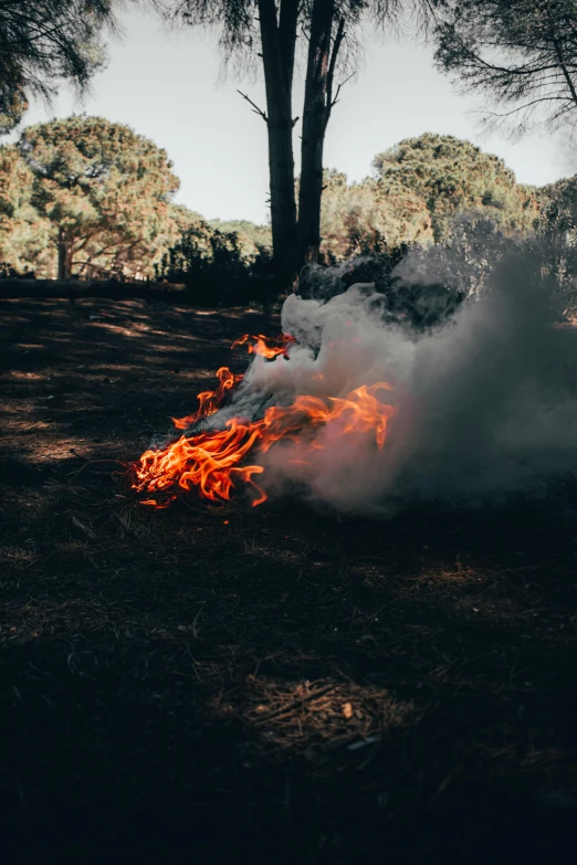 an open fire in the middle of a field