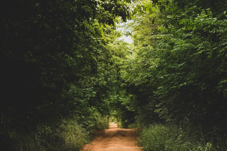 an image of a dirt road that has been traveled by vehicles