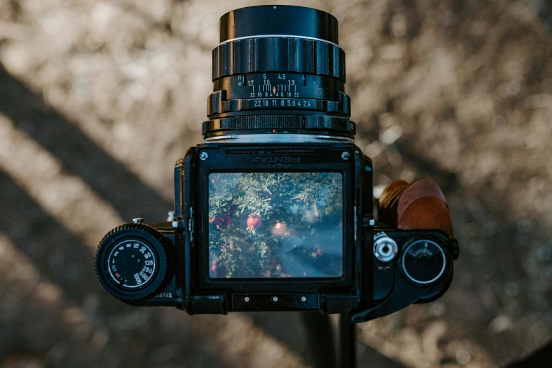 the view from the top of the camera is very high