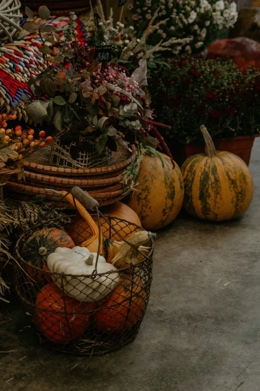 a number of pumpkins in a basket near bushes