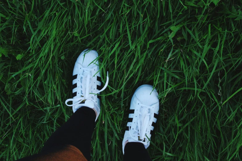 a close up of white sneakers sitting on a lush green field