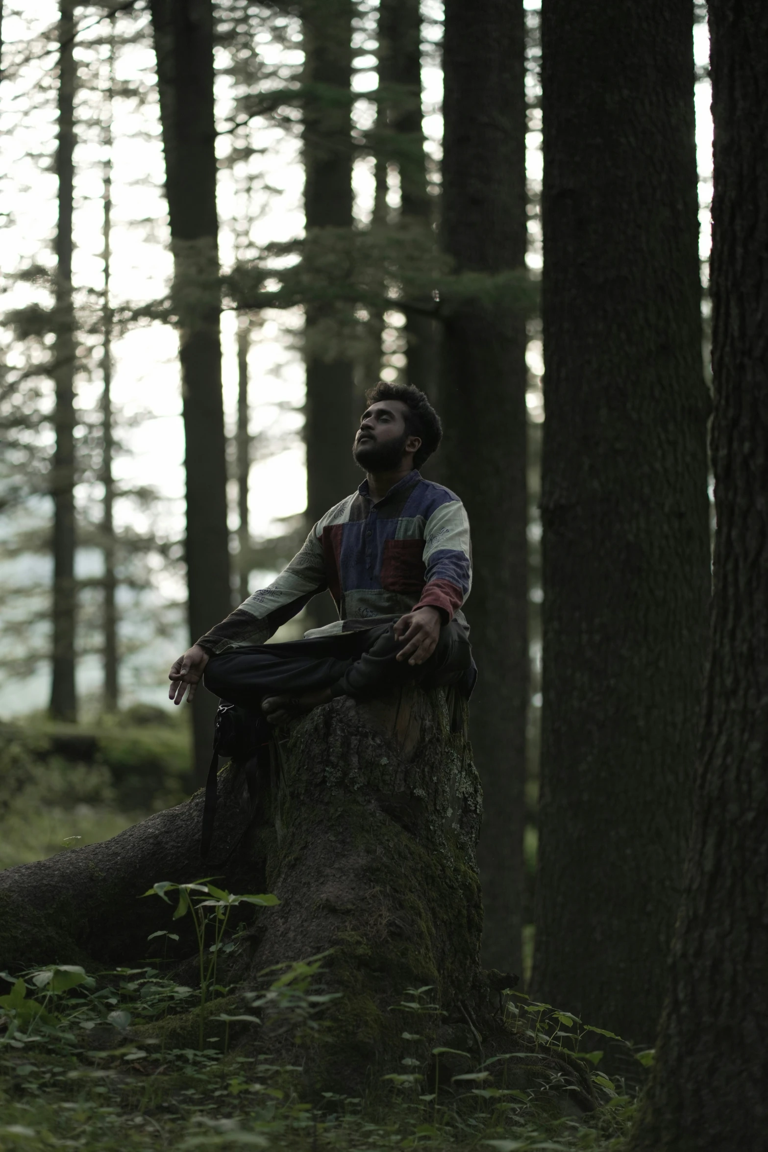 a man standing in the forest in front of a tree stump