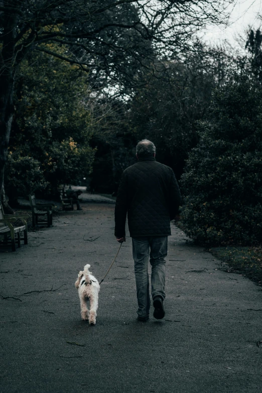 a person walking a dog down a path