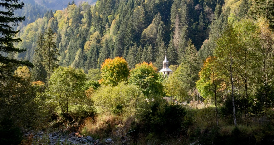 a house in the distance surrounded by woods