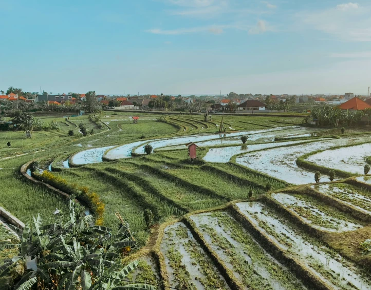 a landscape view of a farm field