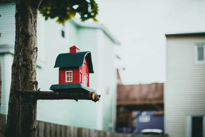 a birdhouse sitting on top of a tree in front of two houses