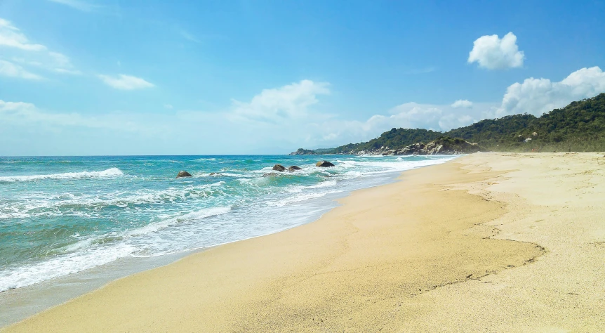 a beach with several people and some very long waves