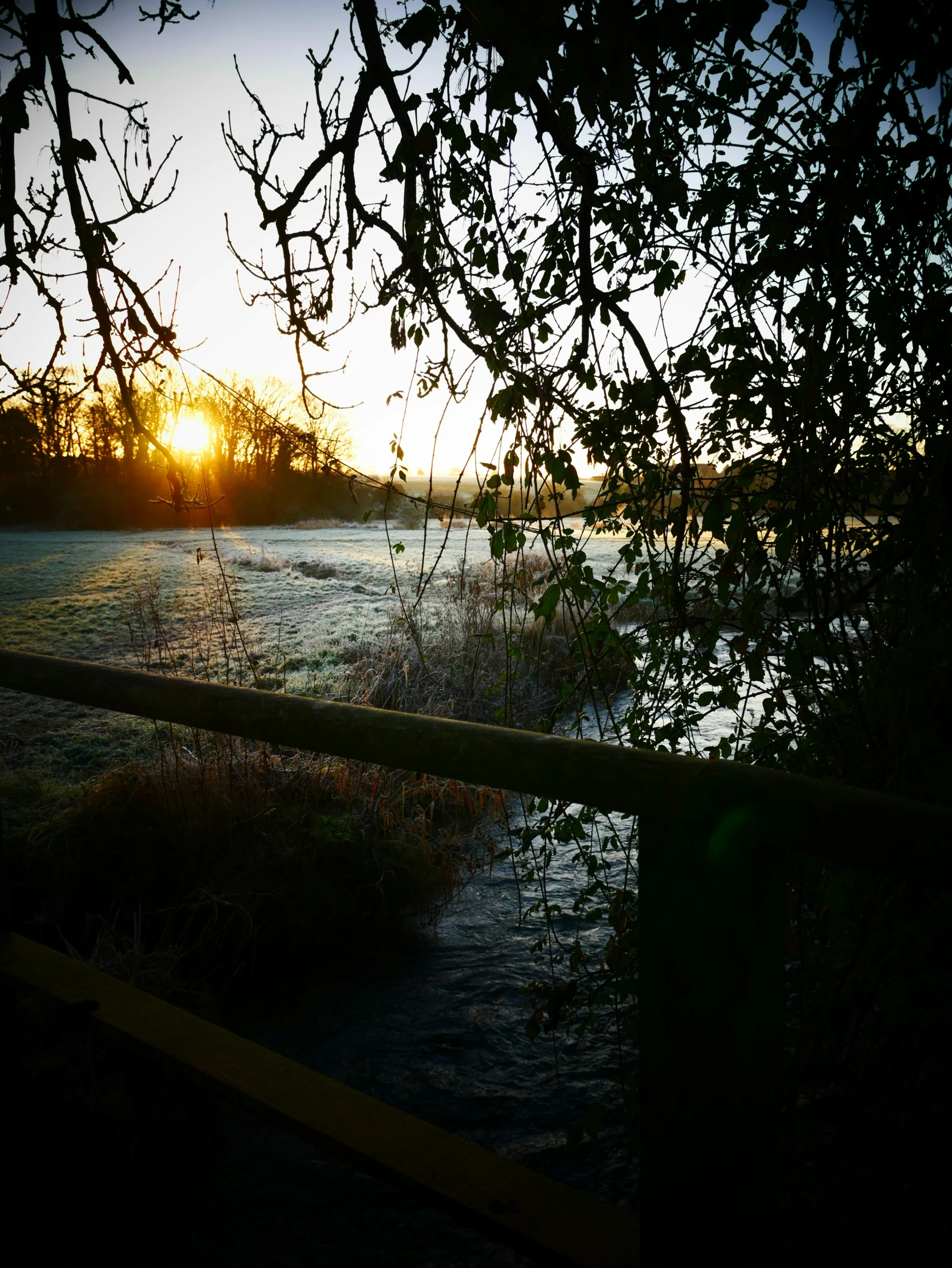 a fence that is next to a field with grass