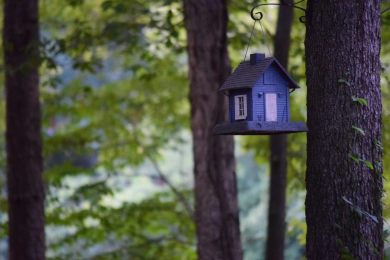 a house shaped bird feeder hanging in a tree