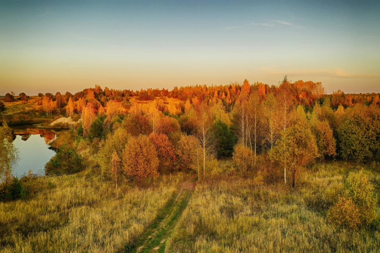 a field of tall grass next to a body of water with trees around