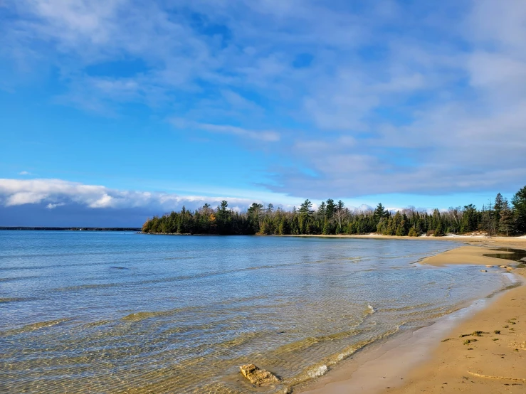 the beautiful beach of a lake with blue sky and green pine trees