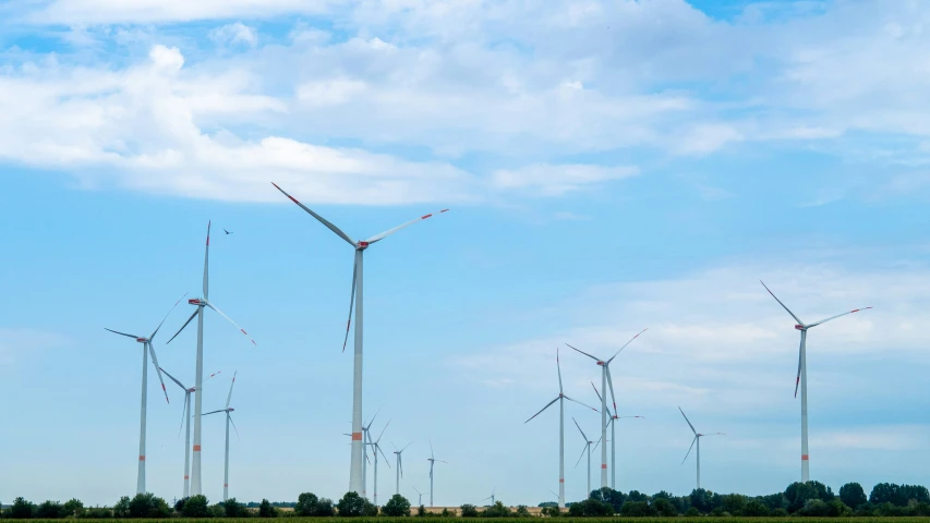 several windmills in a field next to each other