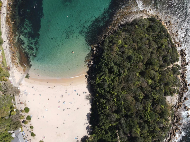 the beach and water are seen from above