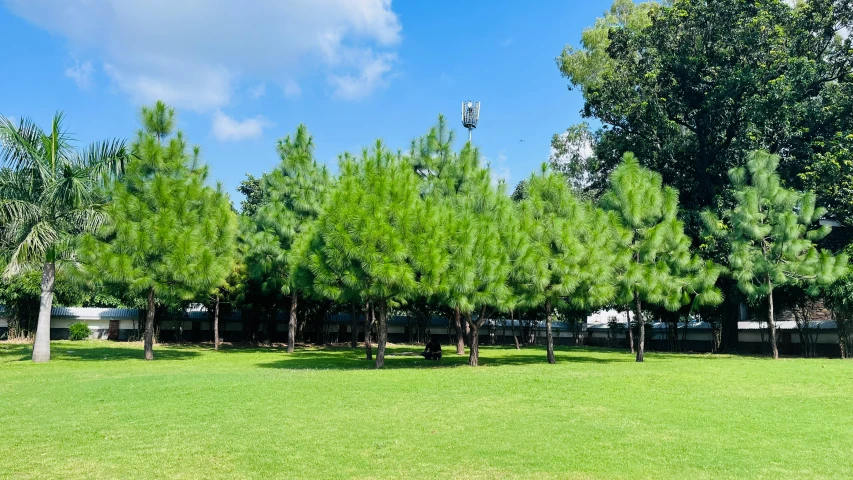 a field with trees and tents in the background