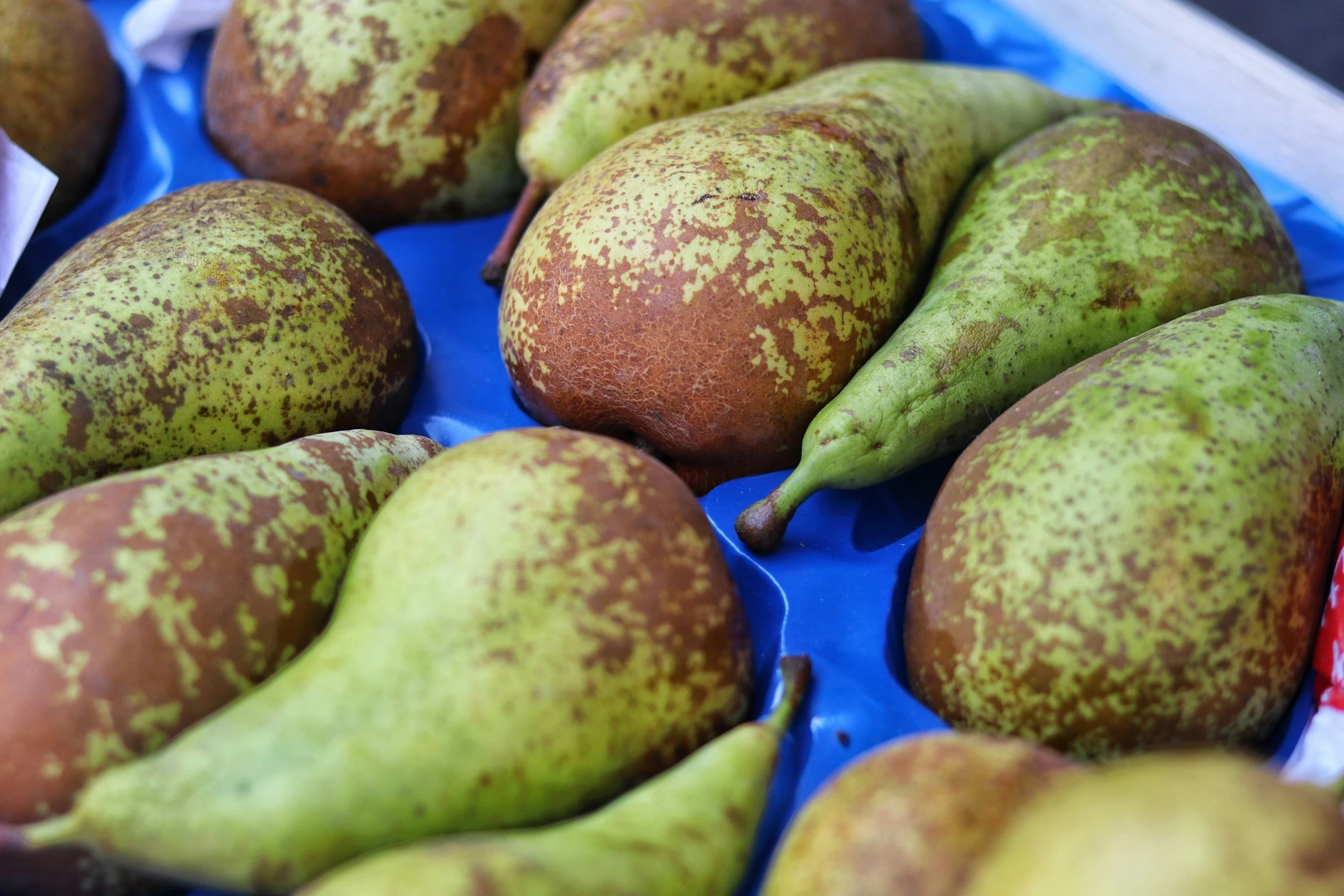 many green and yellow bananas are in a tray