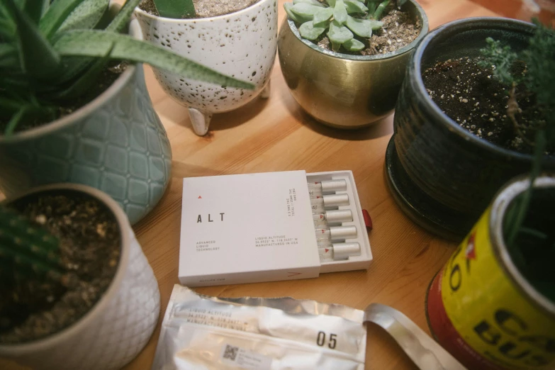 a set of books and some potted plants