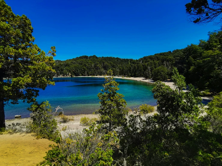 an almost empty lake surrounded by some trees