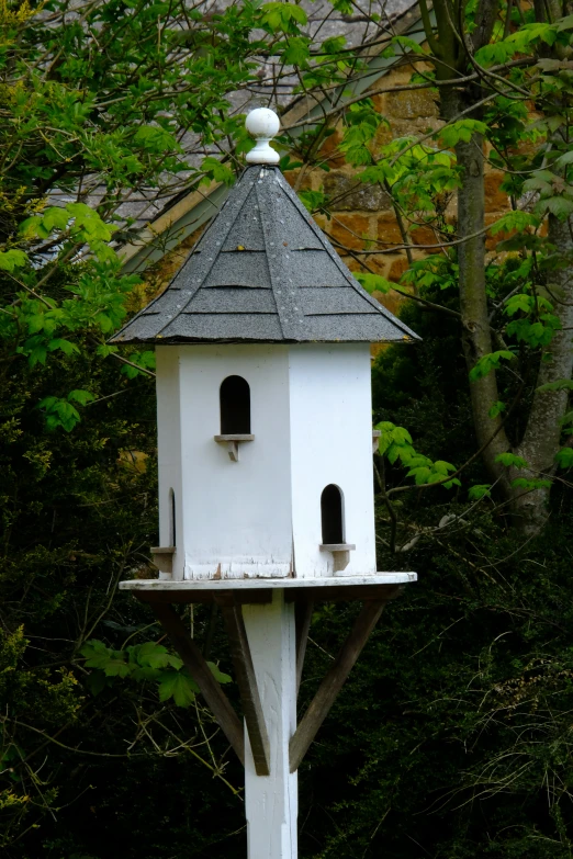 white bird house in the woods during the day