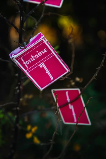 two pink signs in a tree with no leaves
