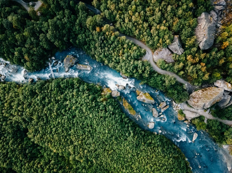 an aerial po of trees and water