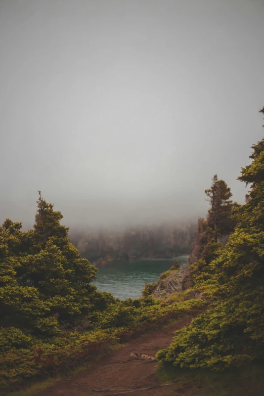 a trail along a lake with fog surrounding it