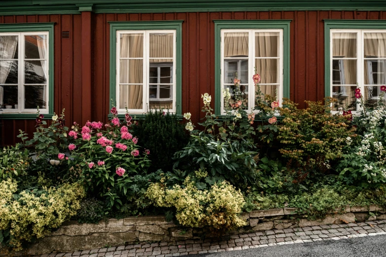 a row of windows are surrounded by flowers