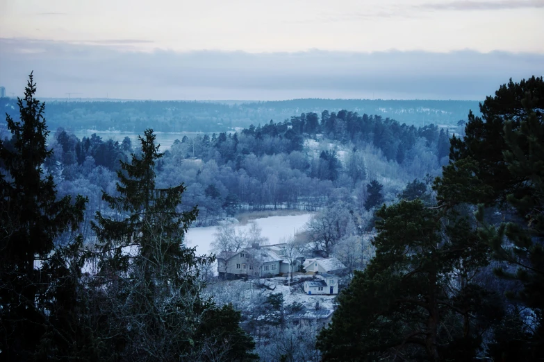 a view from a hill of snowy trees