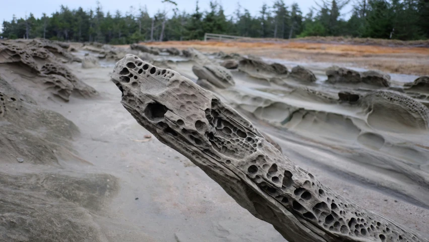 the rocks in the area are all made out of sand